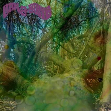 Oak Bone - Vinile LP di Oak Bone