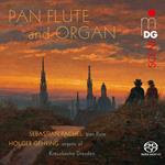 Sebastian Pachel / Holger Gehring - Pan Flute And Organ