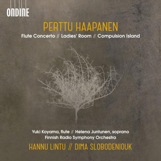 Concerto per flauto - Ladie's Room - CD Audio di Finnish Radio Symphony Orchestra,Hannu Lintu,Perttu Haapanen