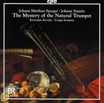 Mystery Of The National Trumpet