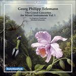 The Grand Concertos vol.1 - CD Audio di Georg Philipp Telemann,Michael Schneider