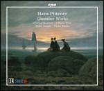Musica da camera - CD Audio di Hans Pfitzner