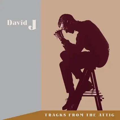 Tracks From The Attic - Vinile LP di David J