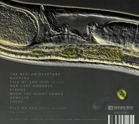 Machina Viva (Digipack) - CD Audio di Wolverine - 2