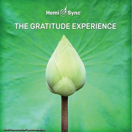 The Gratitude Experience - CD Audio di Patty Ray Avalon