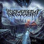 Infinite Fields - Vinile LP di Irreversible Mechanism