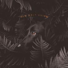 Where the Dogs Don't Bite - CD Audio di Old Salt Union