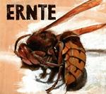 Ernte