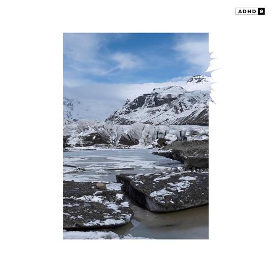 9 - Vinile LP di Adhd