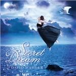 Secret Dream - CD Audio di David Wahler