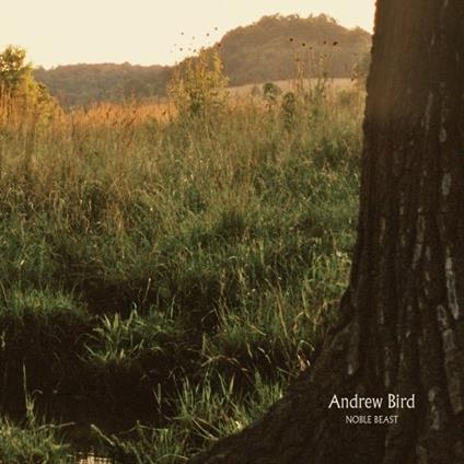 Noble Beast - CD Audio di Andrew Bird