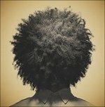 Brooklyn - Vinile LP di Wyatt Cenac