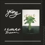 A Youthful Dream - Vinile LP di Yung