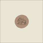 Pearls to Swine - Vinile LP di Adam Torres