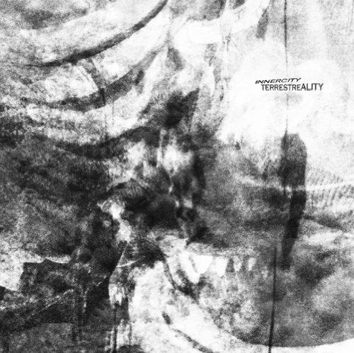 Terrestreality - Vinile LP di Innercity