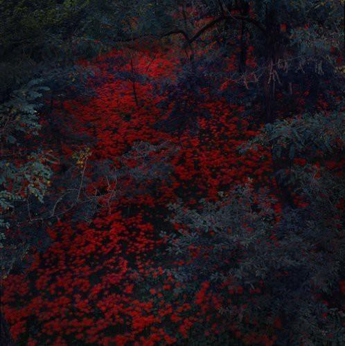 Marigold And Cable - Vinile LP di Alex Cobb