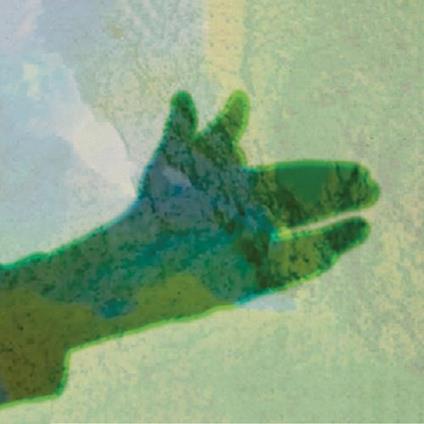 Camo - Vinile LP di Native Instrument