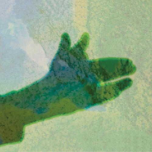 Camo - Vinile LP di Native Instrument
