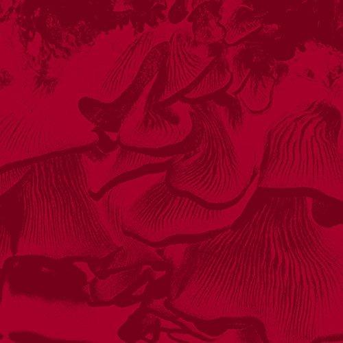 Live at Elastico - Vinile LP di Maurizio Abate