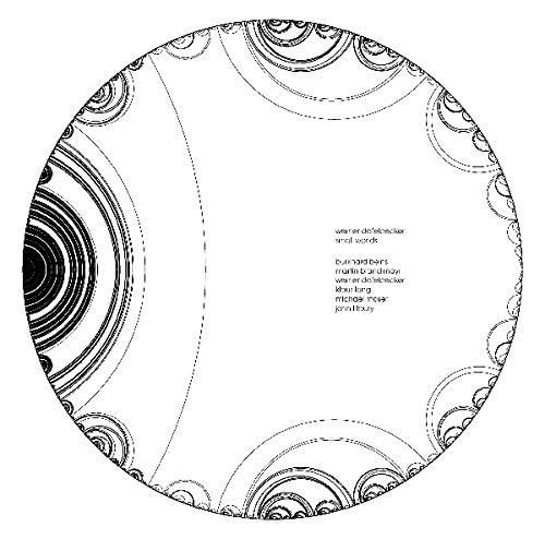 Werner Dafeldecker - Small Worlds - Vinile LP