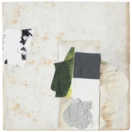 Everything Perfect Is Already Here - Vinile LP di Claire Rousay