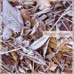 Frost - CD Audio di Kirsty McGee