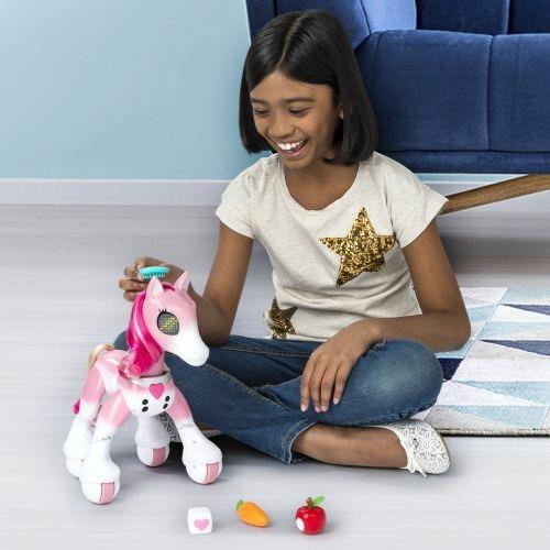 Zoomer. Zoomer Pony - 16
