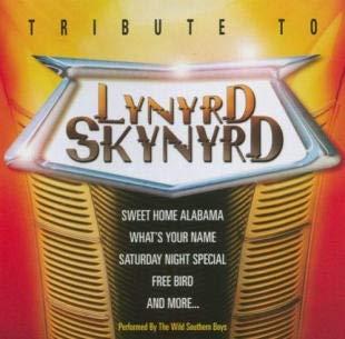 Wild Southern Boys. Lynyrd Skynyrd Tribute - CD Audio