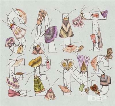 Moths Ep - CD Audio di Salteens