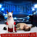 Big Hits: Rick Springfield's Greatest Hits Vol.2