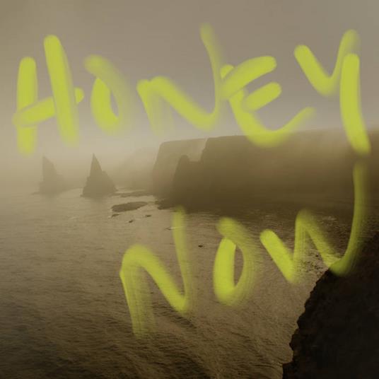 Honey Now - Vinile LP di Neon Waltz