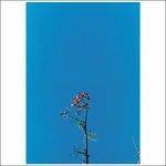 Ep - Vinile LP di Joanna Newsom