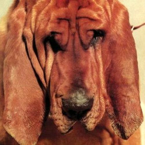 Goodbye Bread - CD Audio di Ty Segall