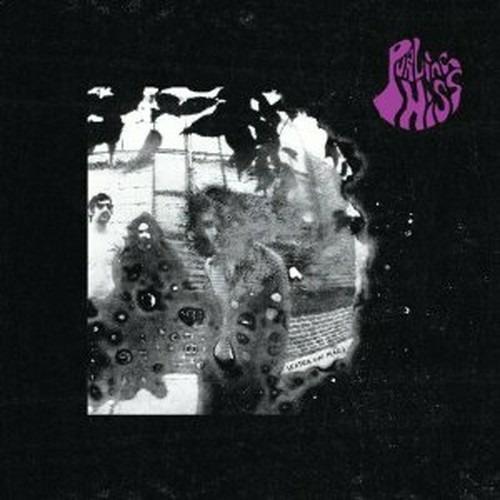Water on Mars - Vinile LP di Purling Hiss