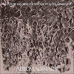 Automaginary - Vinile LP di Natural Information