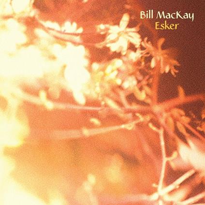 Esker - Vinile LP di Bill MacKay