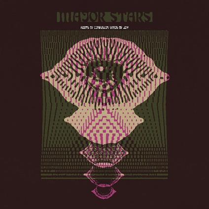 Roots Of Confusion Seeds Of Joy - Vinile LP di Major Stars