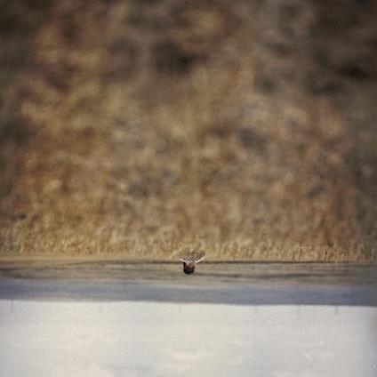 Hands That Bind (Colonna Sonora) - Vinile LP di Jim O'Rourke