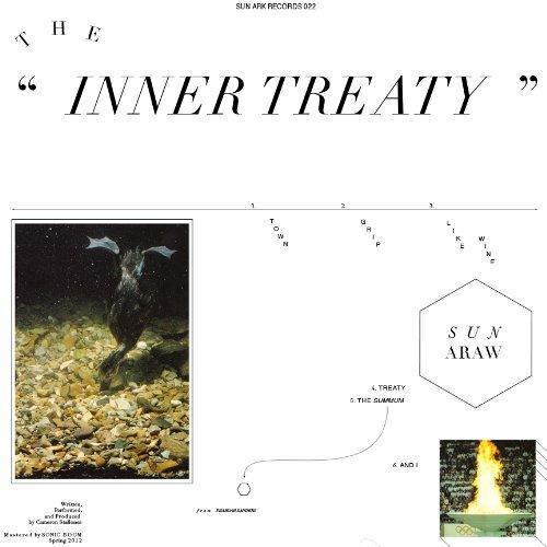 The Inner Treaty - Vinile LP di Sun Araw