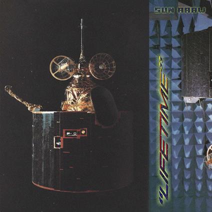 Lifetime - Vinile LP di Sun Araw