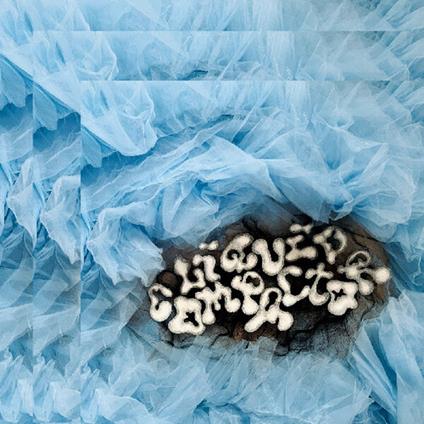 Liquid Compactor - Vinile LP di Penny & The Pits