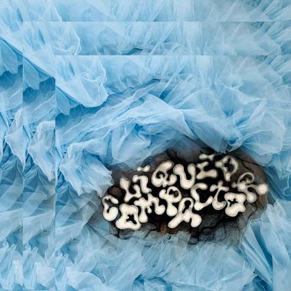 Liquid Compactor - CD Audio di Penny & The Pits