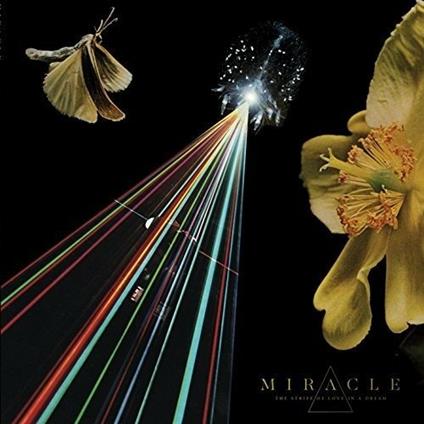 The Strife of Love in a Dream - Vinile LP di Miracle