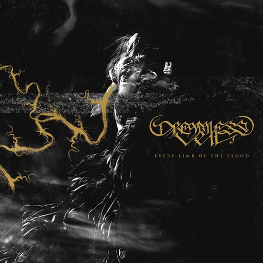 Every Limb Of The Flood - CD Audio di Dreamless Veil