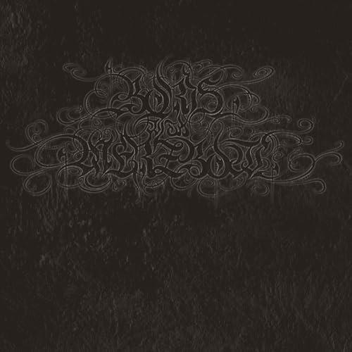 4092001 (Silver Vinyl) - Vinile LP di Boris with Merzbow