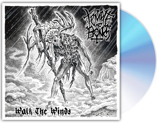 Walk The Winds - CD Audio di Temple of Bones