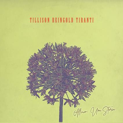 Allium. Una storia - CD Audio di Roberto Tiranti,Andy Tillison,Jonas Reingold