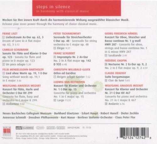 Steps in Silence - CD Audio di Franz Liszt,Franz Schubert,Felix Mendelssohn-Bartholdy - 2