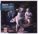 Concerti brandeburghesi n.4, n.5, n.6 (Berlin Basics) - CD Audio di Johann Sebastian Bach,Helmut Koch,Orchestra da camera di Berlino