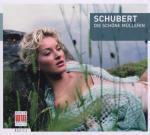 Die Schöne Müllerin (Berlin Basics)